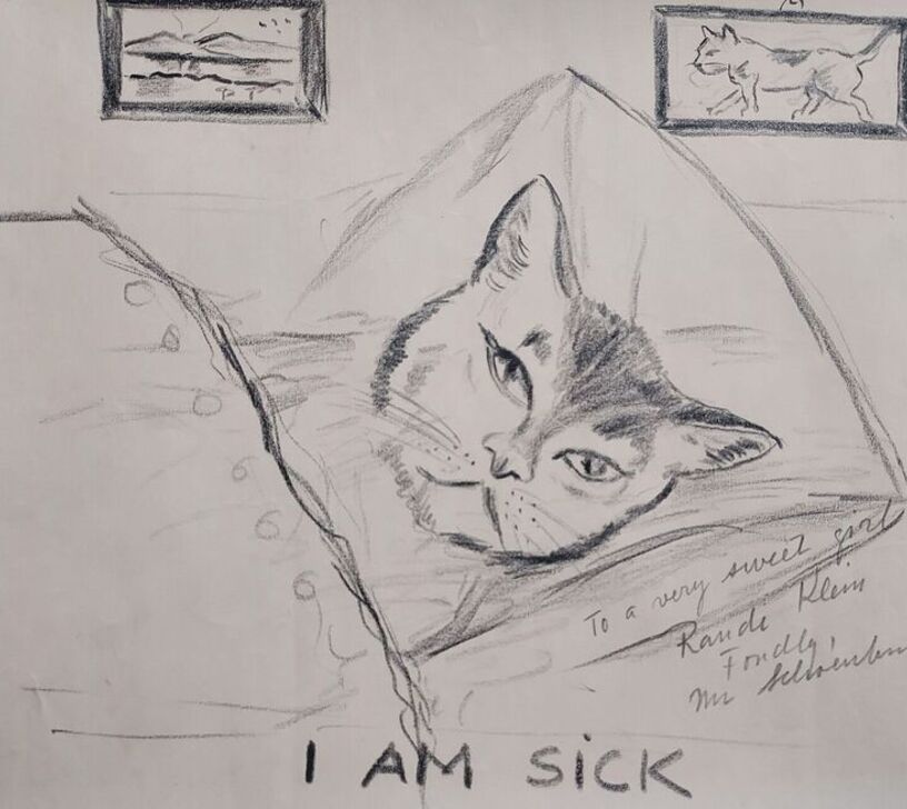 Rkleincat1 imsick